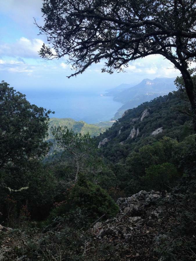 In Tramuntana Semesterbostad